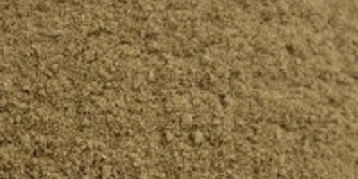 Wood Fiber