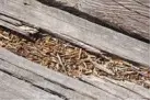 Composite Decking Difference Comparison Composite Decking Difference Comparison