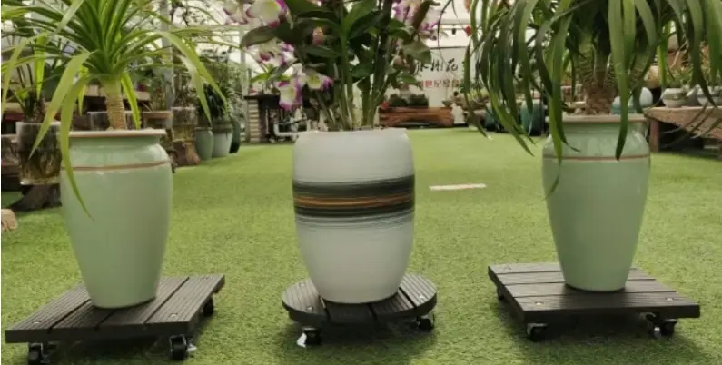 WPC Plant Trolley